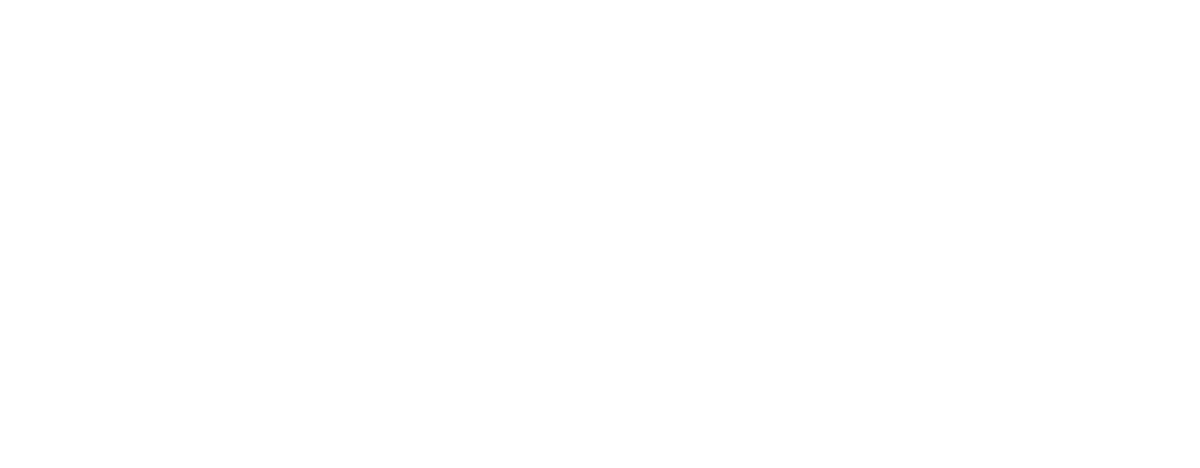 Elisa